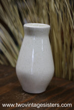Load image into Gallery viewer, Franciscan Autumn Salt Shaker