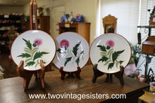 Load image into Gallery viewer, Stangl Pottery Thistle Bread Butter Plates