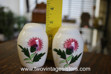 Load image into Gallery viewer, Stangl Pottery Thistle Salt Pepper Shaker

