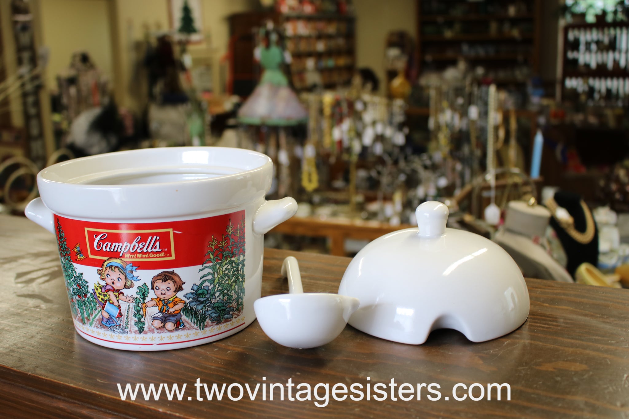 1993 Campbells Collection Soup Tureen with Ladle