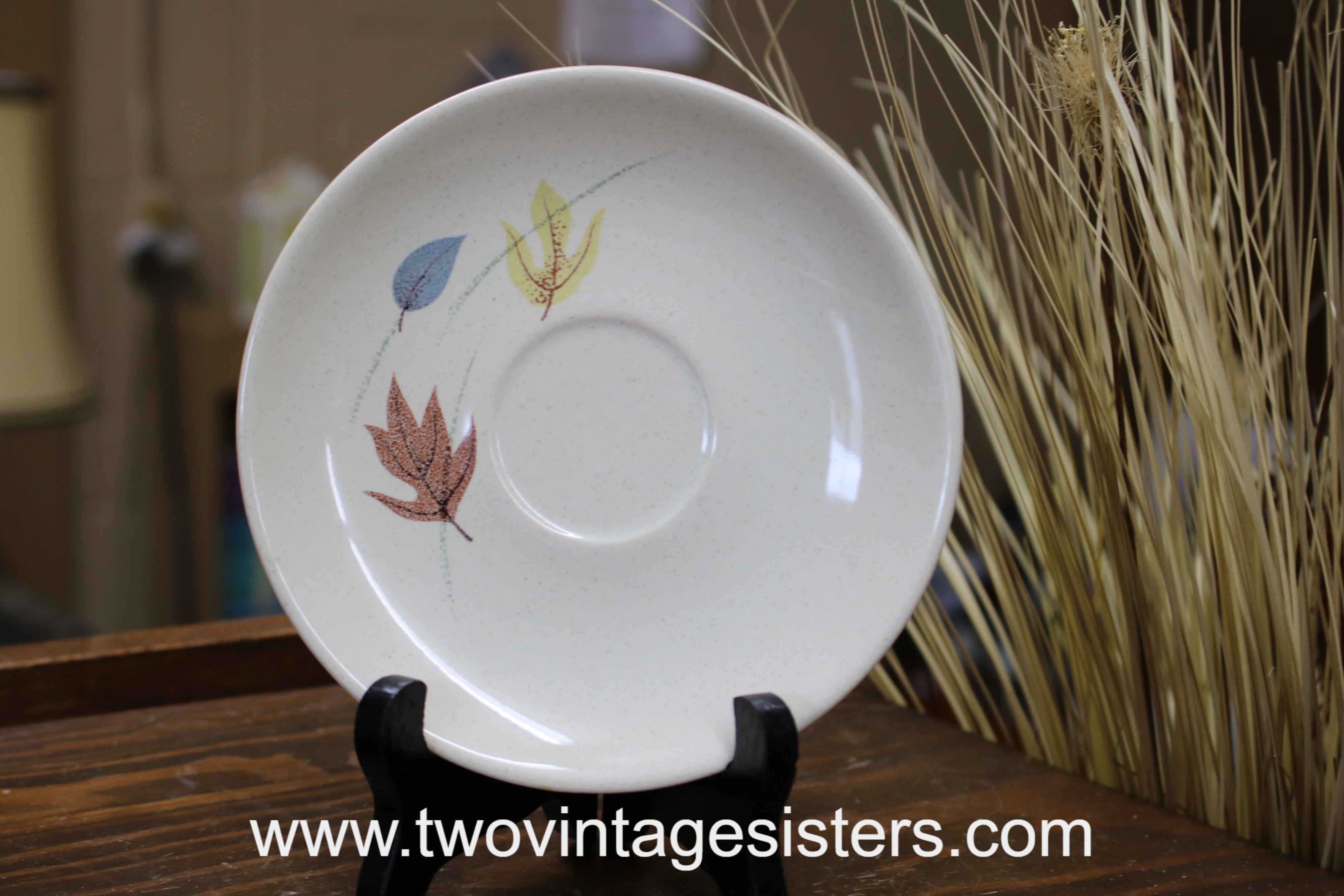 Franciscan Autumn Saucer Plate - Main Image