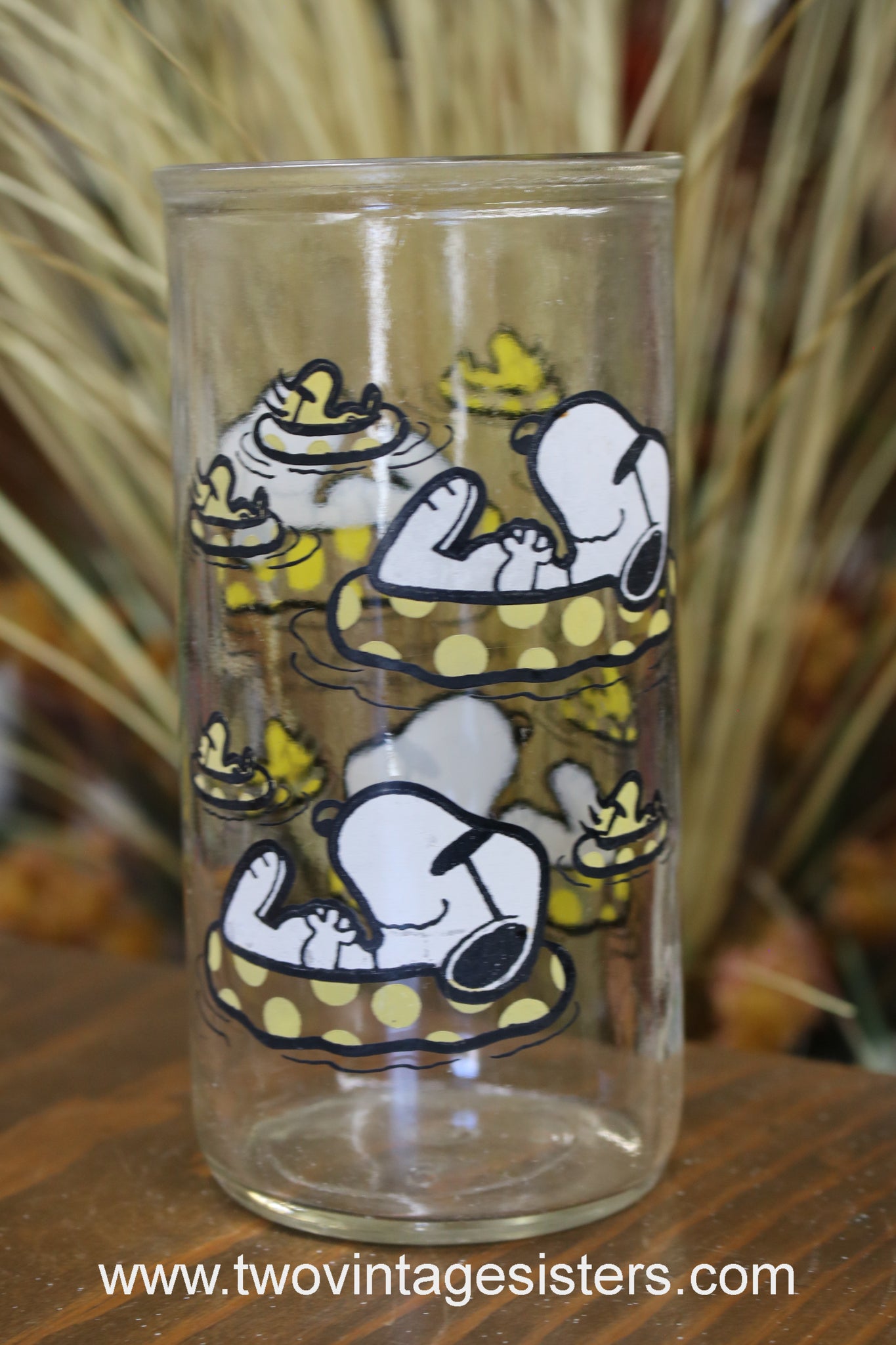 Charlie Brown Peanuts Drinking Glass Snoopy Floating