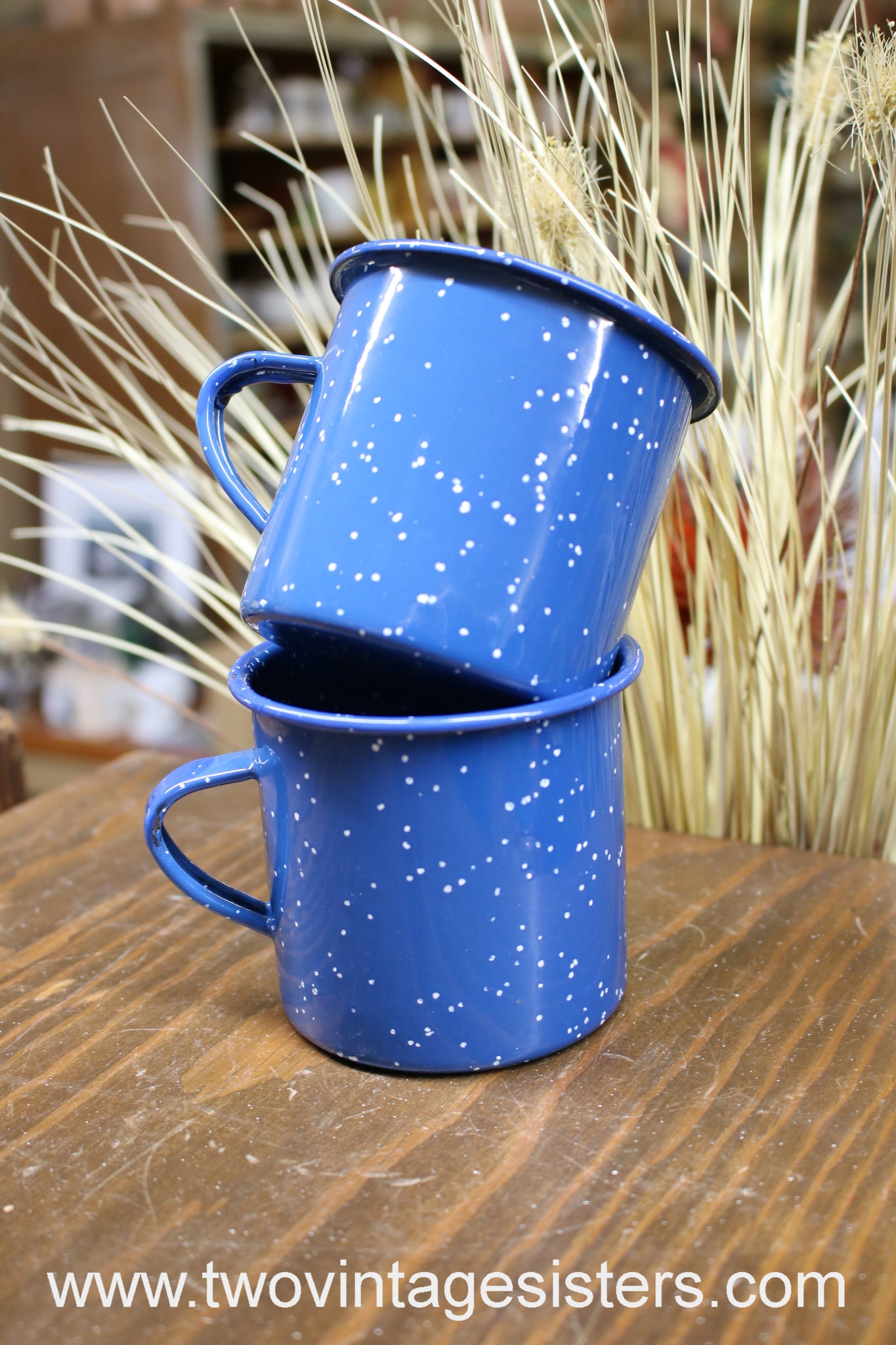 Camping Coffee Mugs Blue White Speckled Enamelware Set