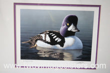 Load image into Gallery viewer, RW65 1998 FEDERAL DUCK STAMP PRINT BARROWS GOLDENEYE by Robert Steiner
