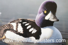 Load image into Gallery viewer, RW65 1998 FEDERAL DUCK STAMP PRINT BARROWS GOLDENEYE by Robert Steiner

